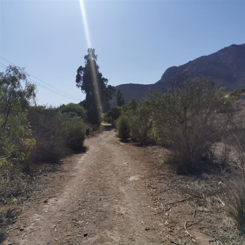 Venta Parcela Vicuña - Coquimbo