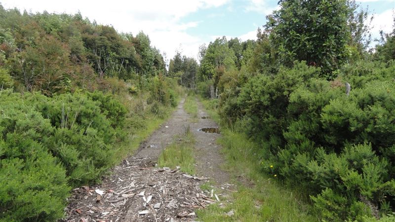 Venta Parcela Ancud - Los Lagos