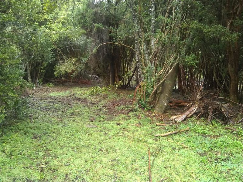 Venta Sitio Cochamó - Los Lagos