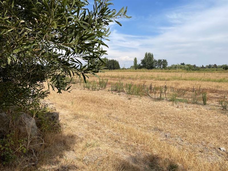 Venta Parcela San carlos - Ñuble
