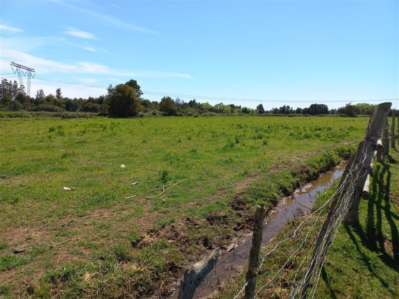 Venta Parcela Ñiquén - Ñuble