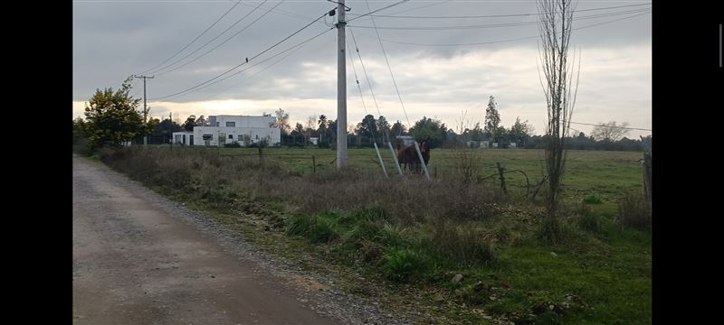 Venta Parcela Chillán - Ñuble