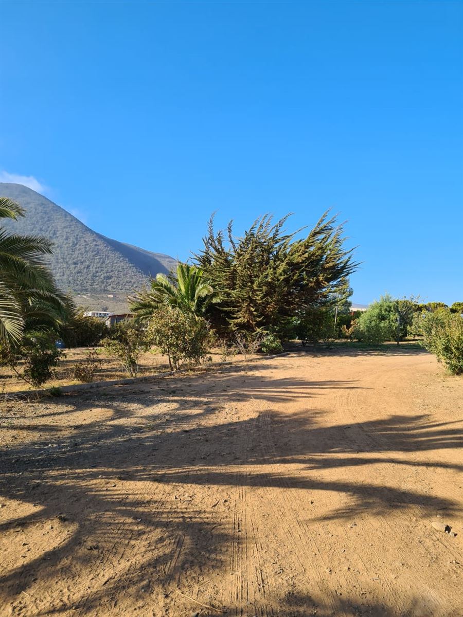 Venta Parcela Los vilos - Coquimbo