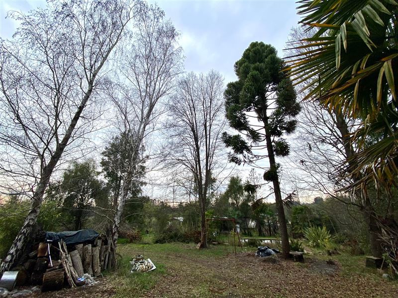 Venta Parcela Coihueco - Ñuble