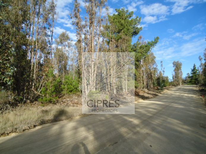 Venta Parcela Navidad - O'Higgins