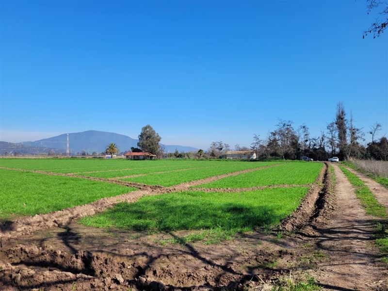 Venta Agrícola Melipilla - Región Metropolitana
