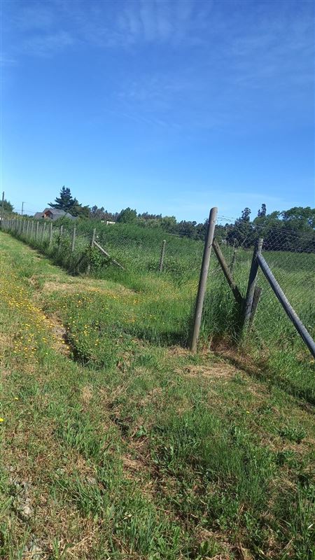Venta Parcela Chillán - Ñuble