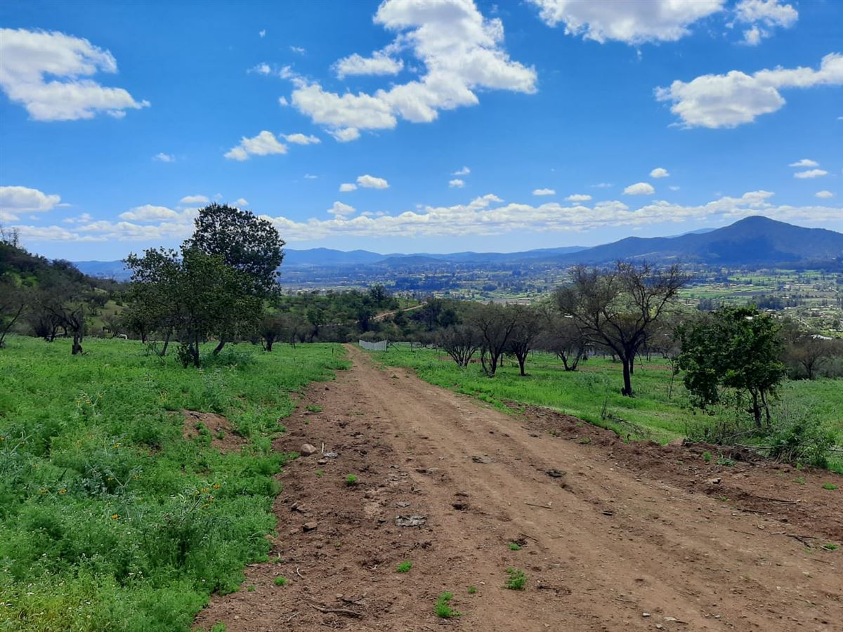 Venta Parcela Melipilla - Región Metropolitana