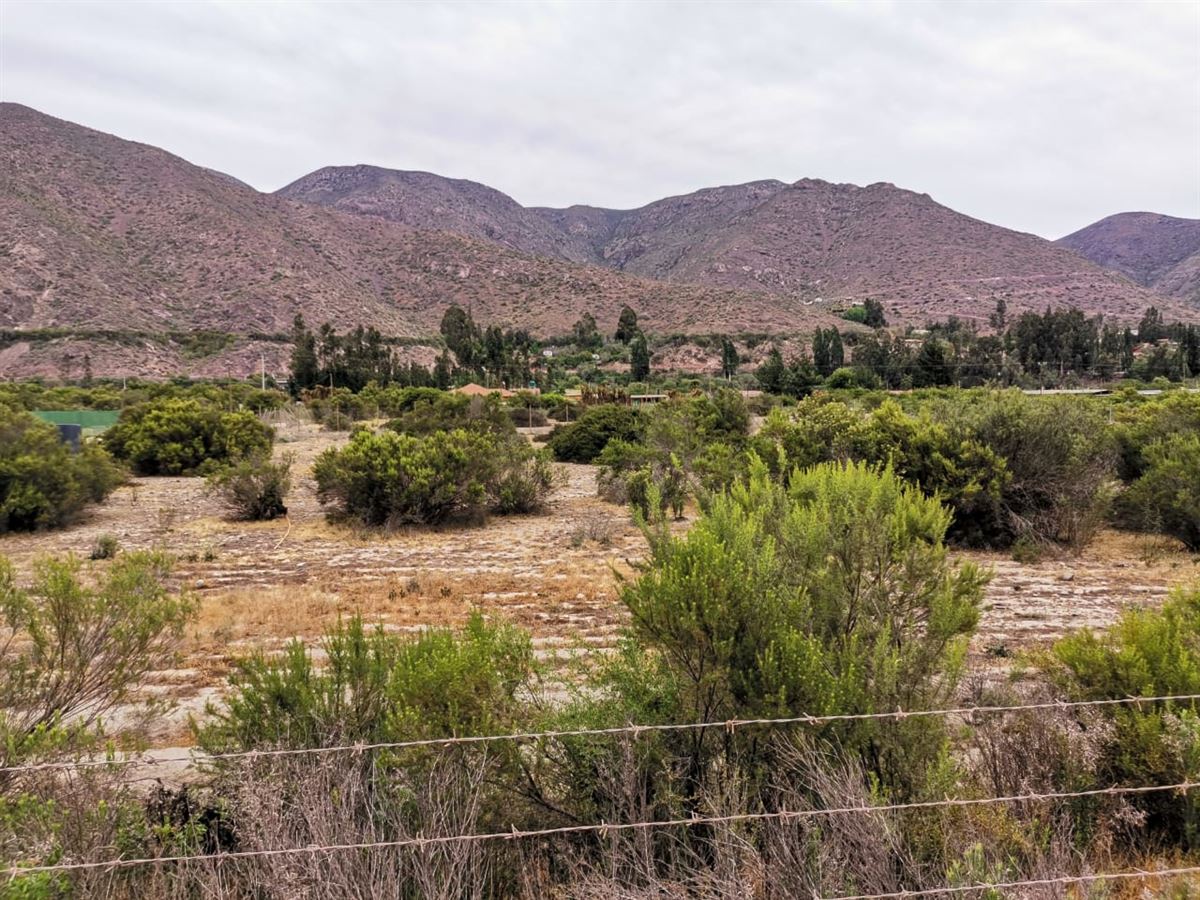 Venta Agrícola Vicuña - Coquimbo