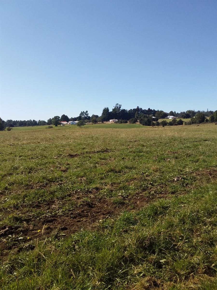 Venta Agrícola Ancud - Los Lagos