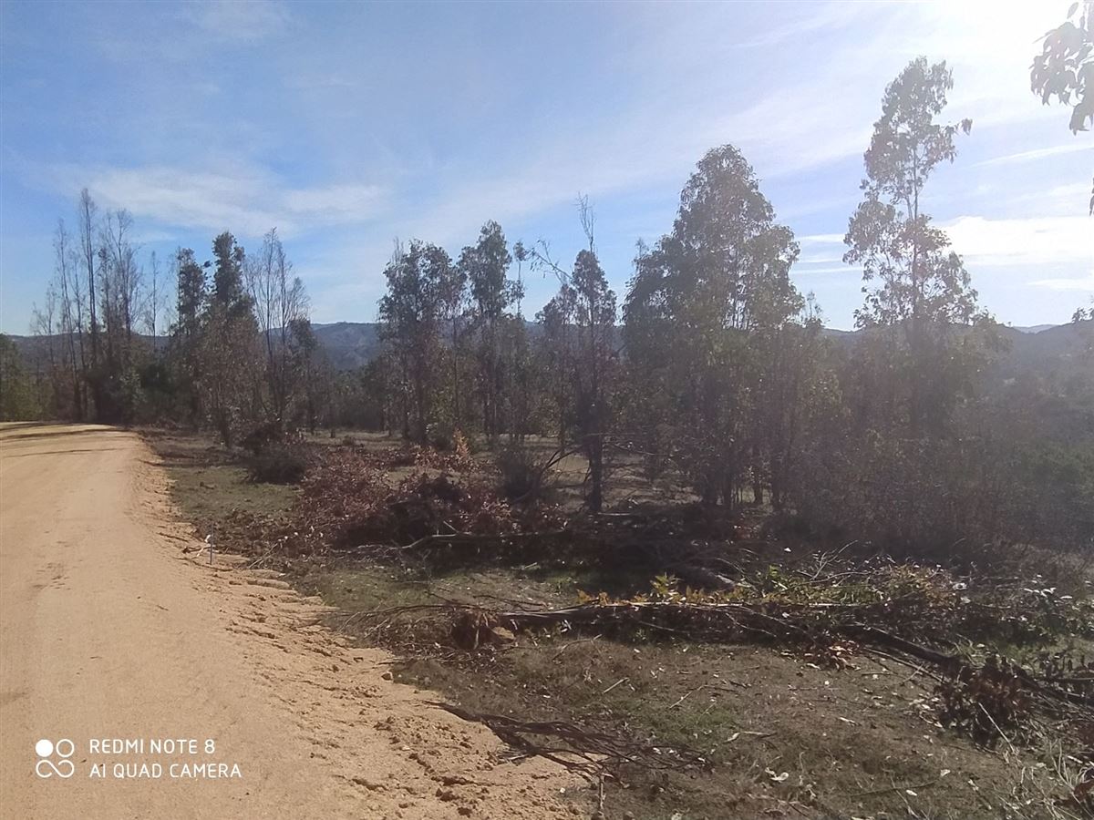 Venta Parcela Pumanque - O'Higgins