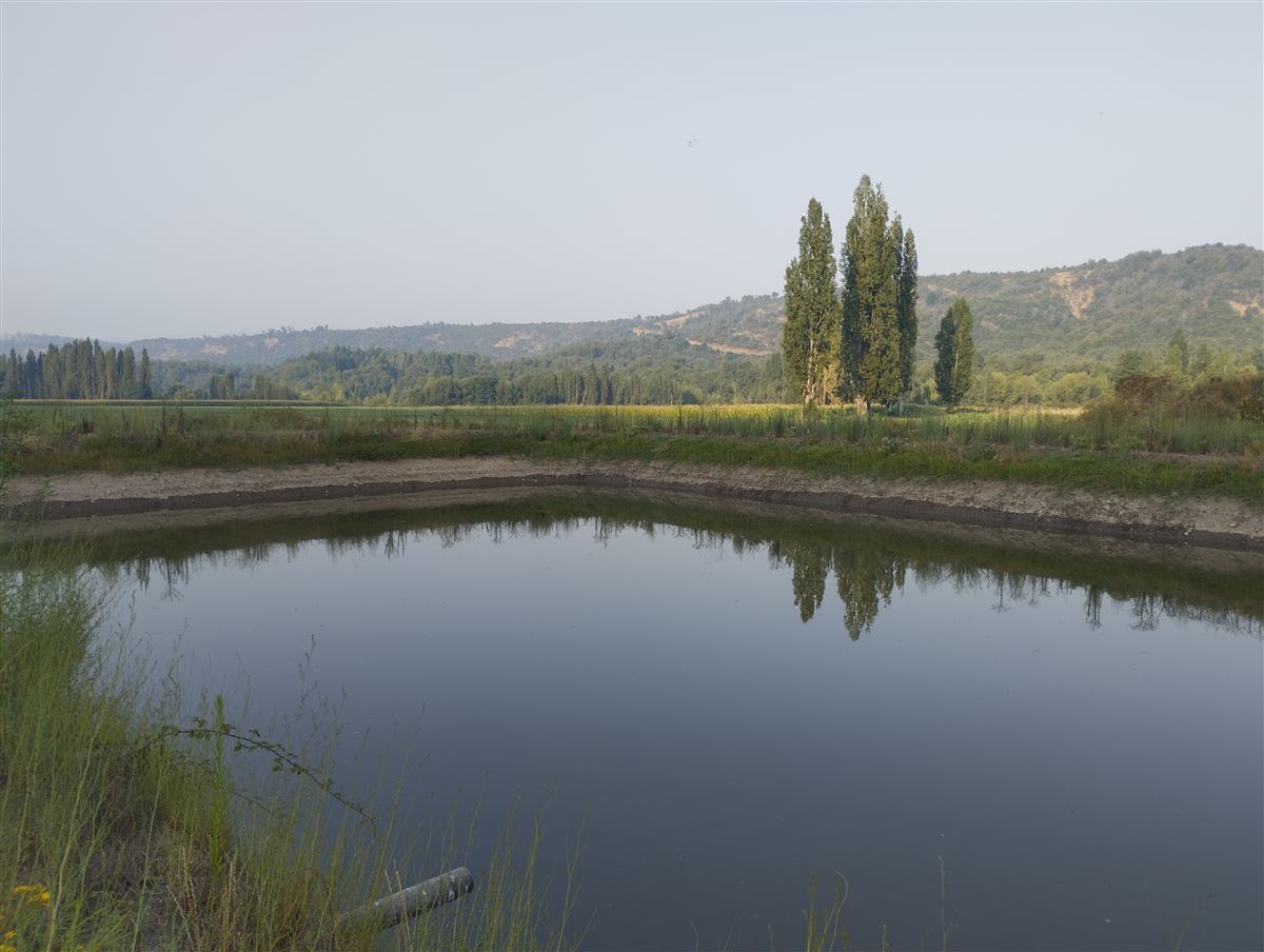 Venta Parcela Curicó - Maule