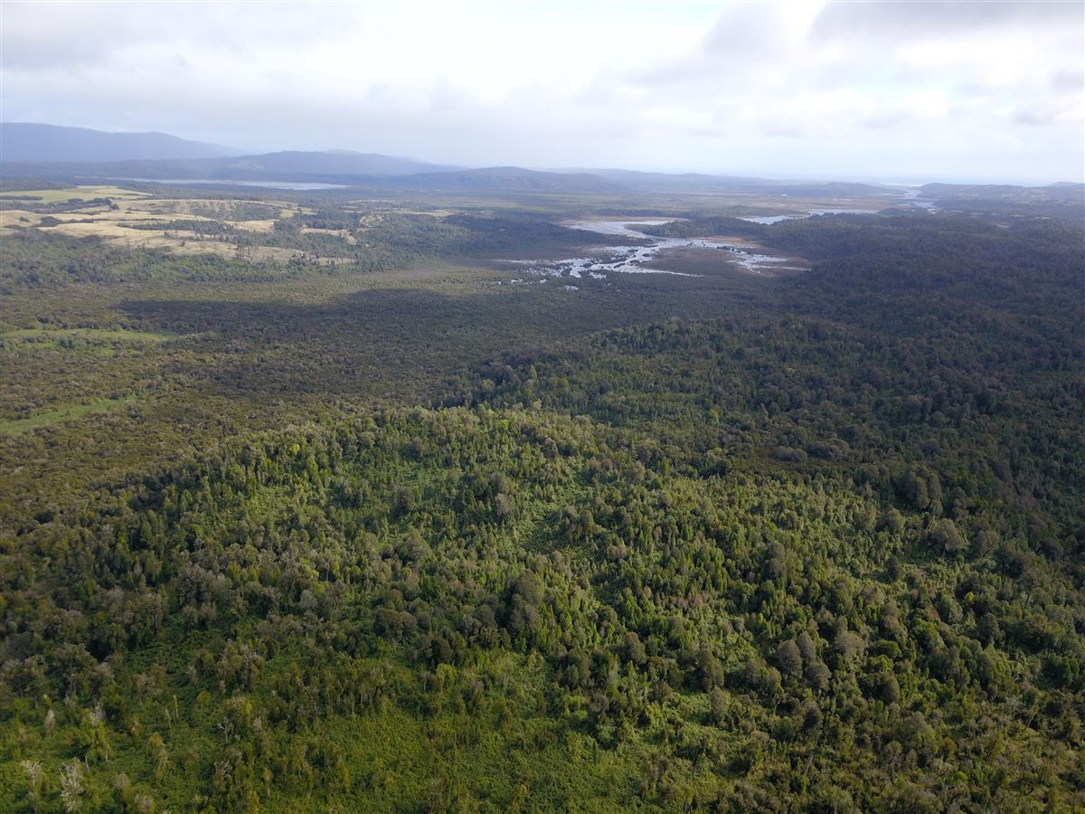 Venta Sitio Ancud - Los Lagos