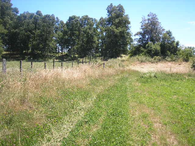 Venta Sitio La union - Los Ríos