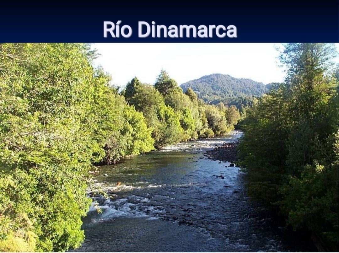 Venta Agrícola Cisnes - Aysén