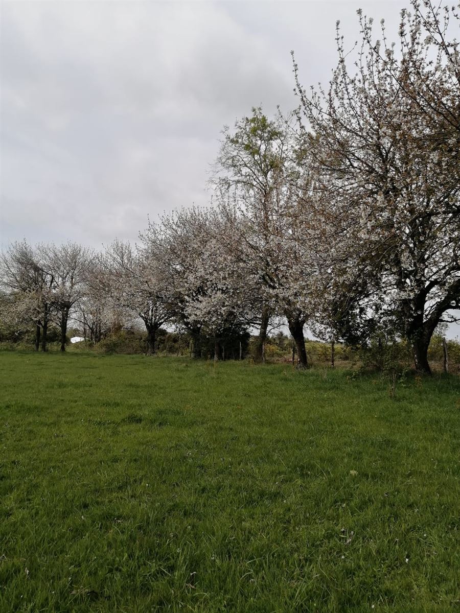 Venta Sitio Río Negro - Los Lagos