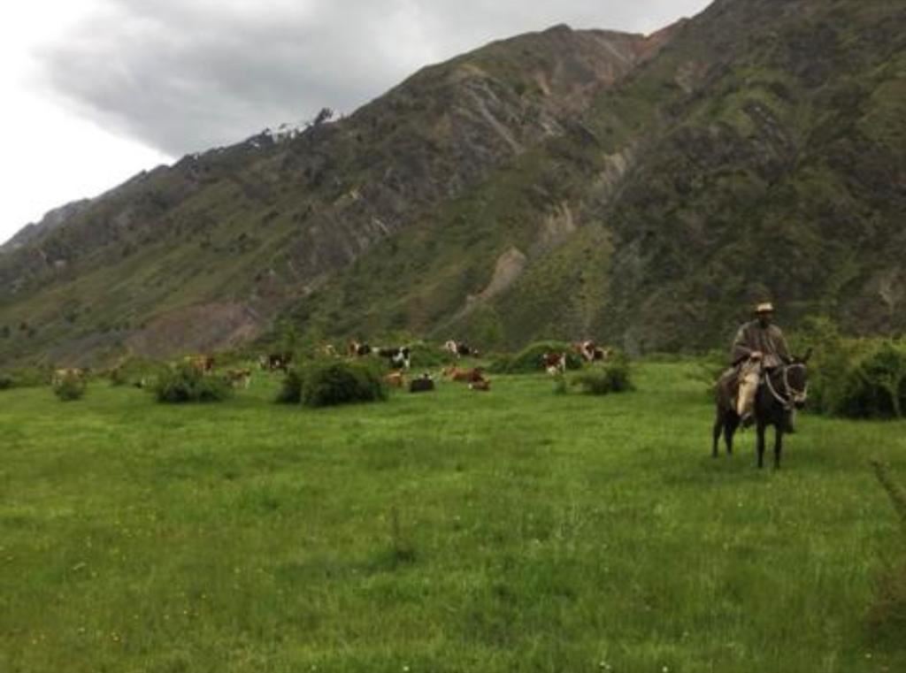 Venta Parcela Colbún - Maule