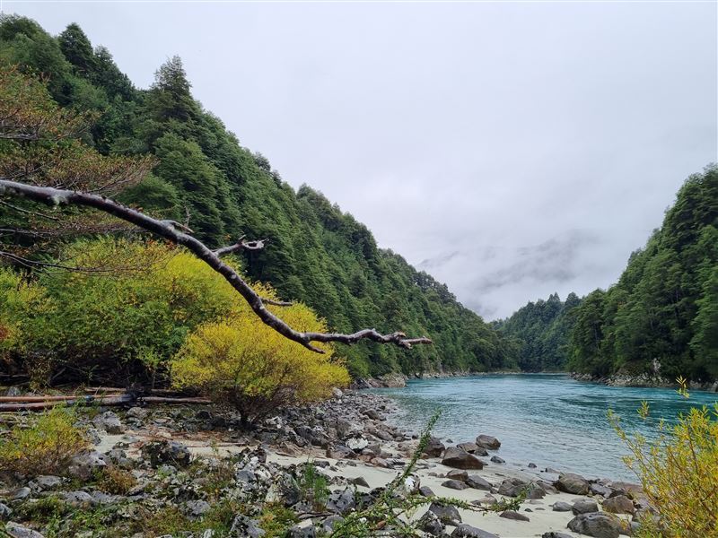 Venta Sitio Cochamó - Los Lagos