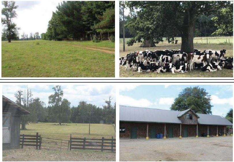 Venta Agrícola Lanco - Los Ríos