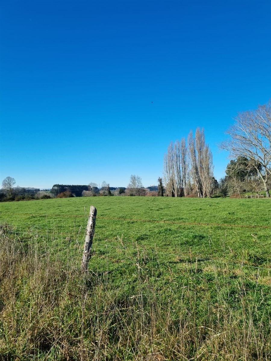 Venta Parcela Río negro - Los Lagos