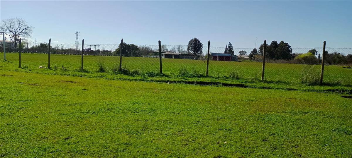 Venta Parcela Ñiquén - Ñuble