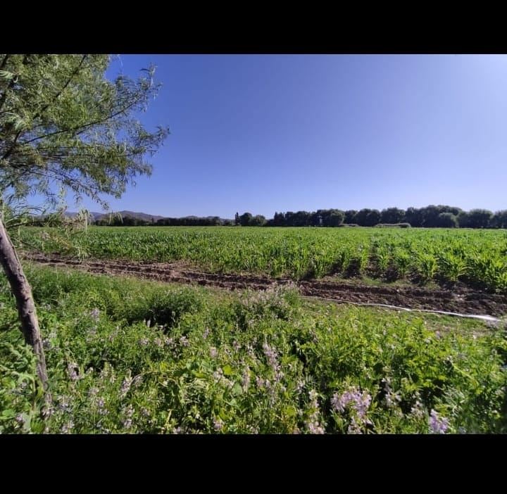 Venta Parcela Las cabras - O'Higgins