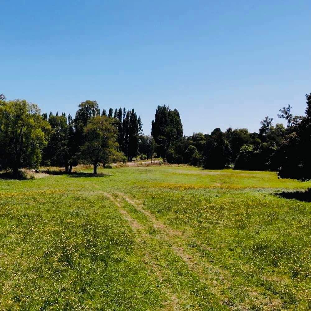 Venta Parcela Purranque - Los Lagos