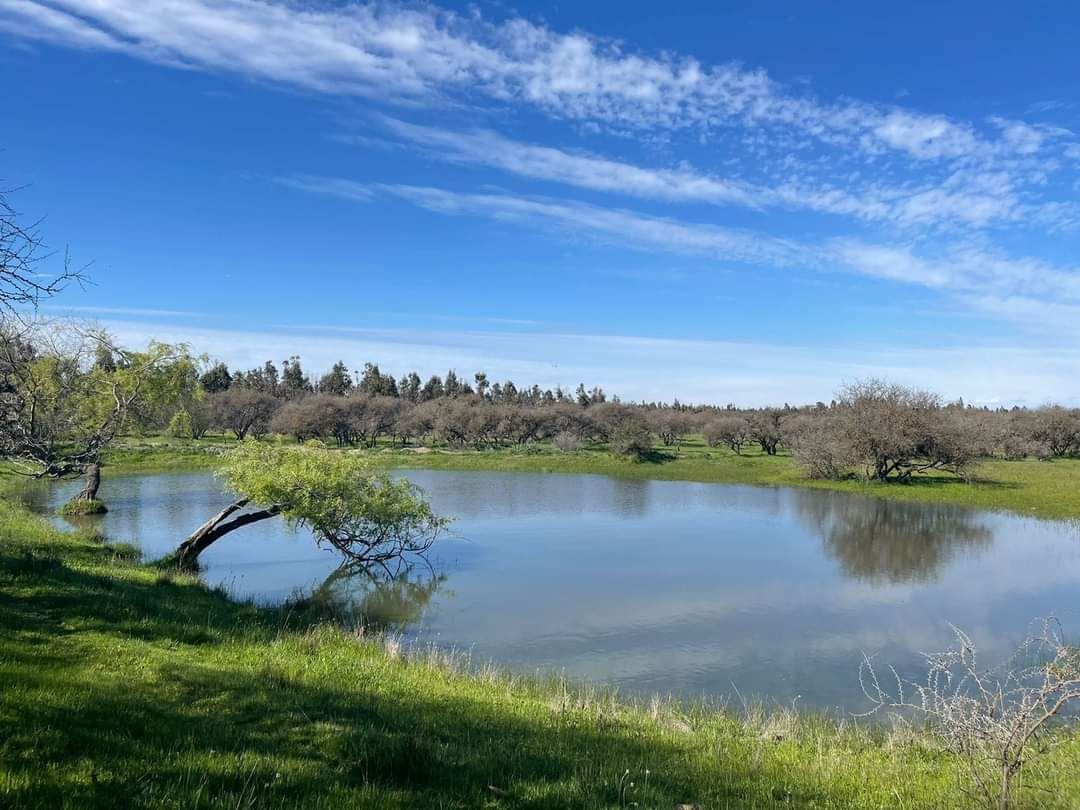 Venta Parcela Portezuelo - Ñuble