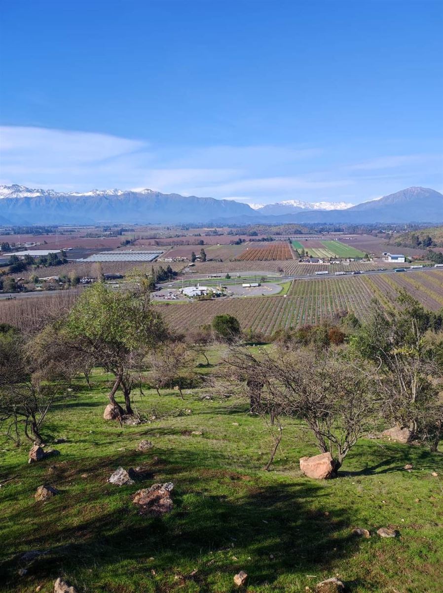 Venta Parcela San Fernando - O'Higgins