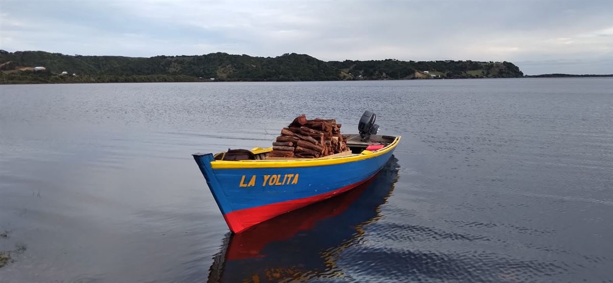 Venta Parcela Chonchi - Los Lagos