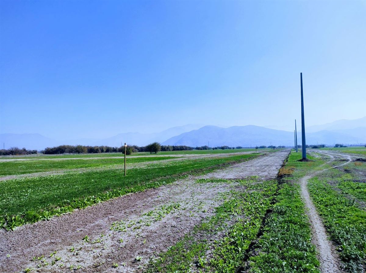 Venta Sitio Lampa - Región Metropolitana