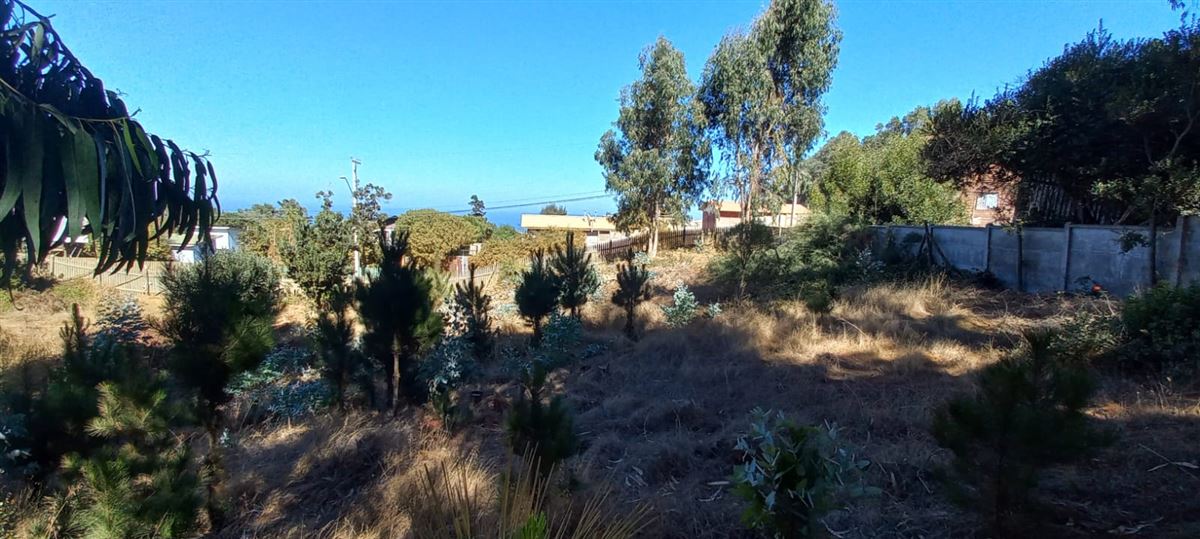 Venta Sitio El Tabo - Valparaíso