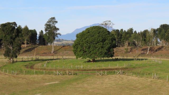 Venta Sitio Llanquihue - Los Lagos