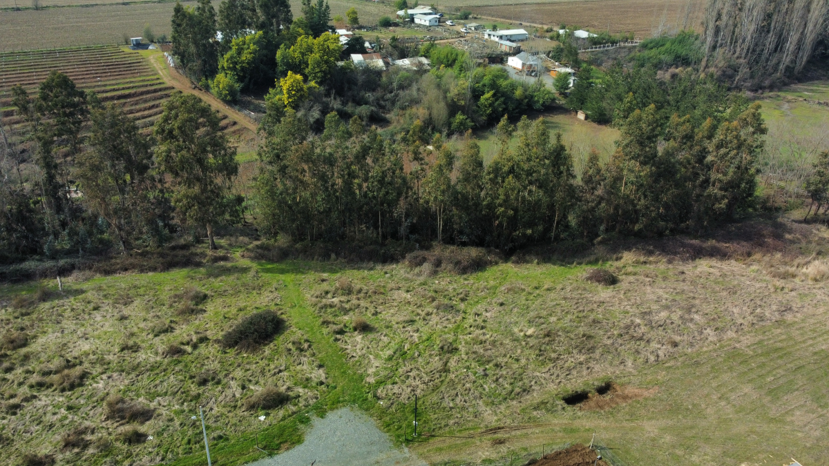 Venta Sitio San Clemente - Maule