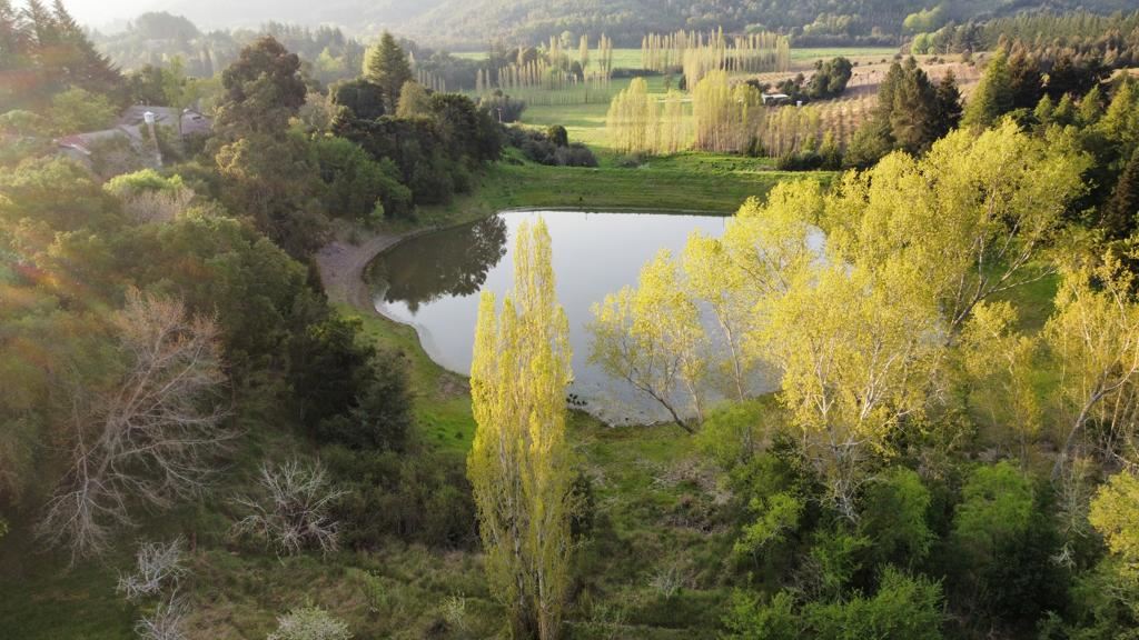 Venta Parcela Ranquil - Ñuble