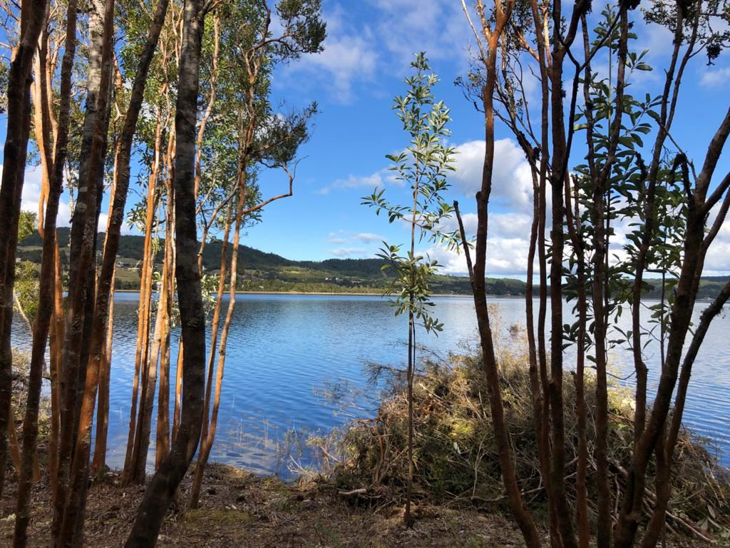 Venta Sitio Castro - Los Lagos