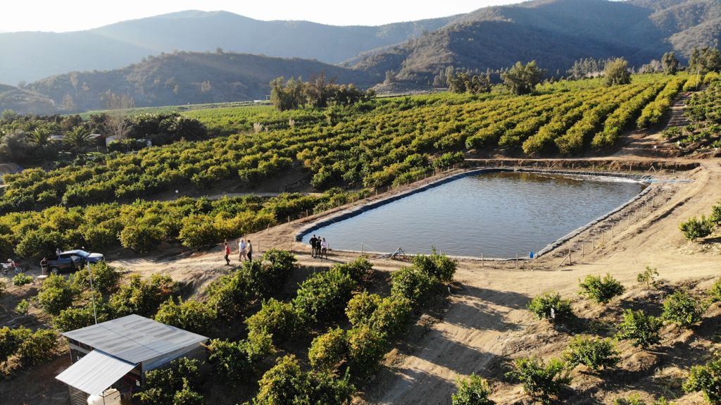 Venta Agrícola Melipilla - Región Metropolitana