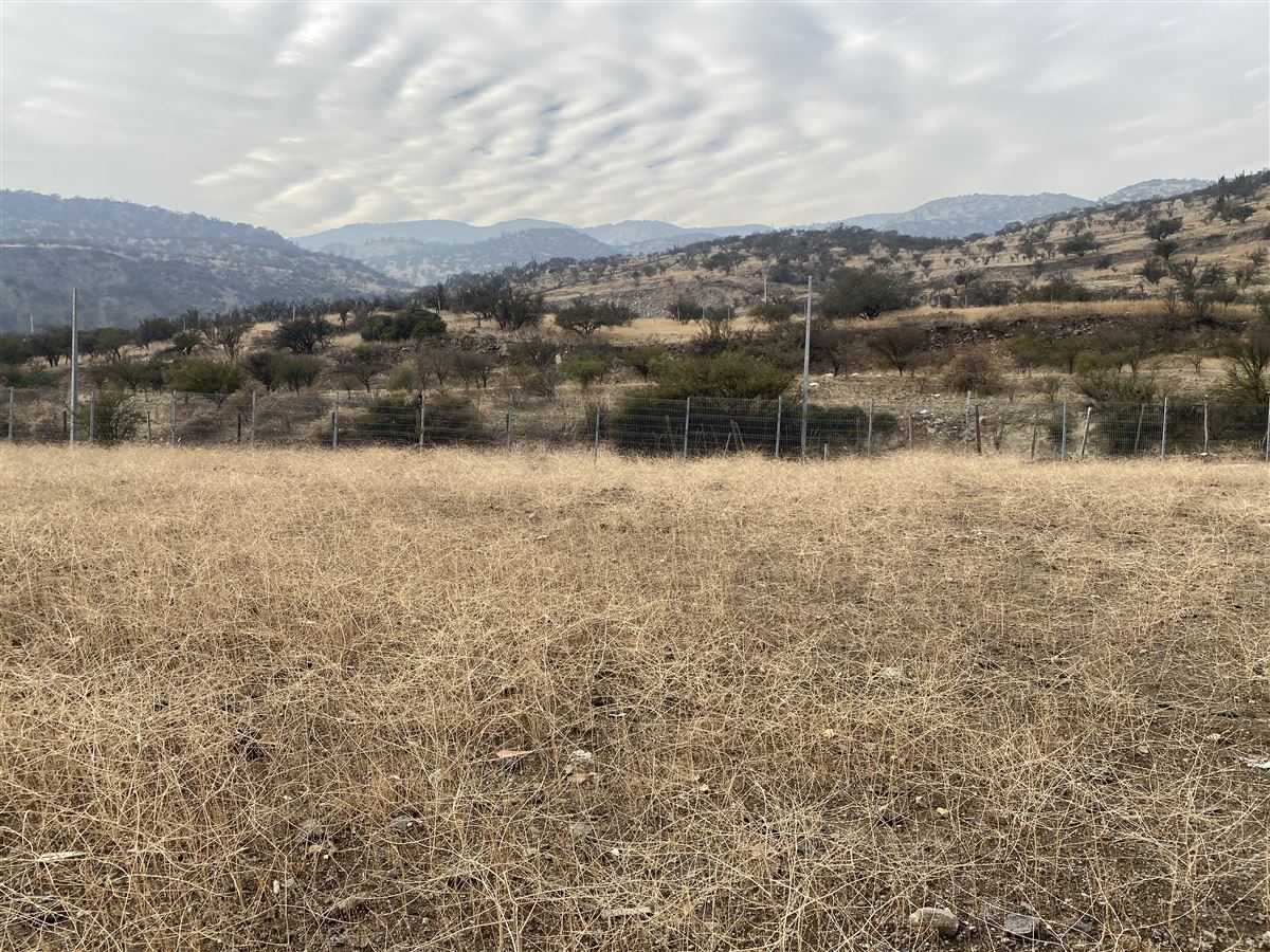 Venta Sitio Colina - Región Metropolitana