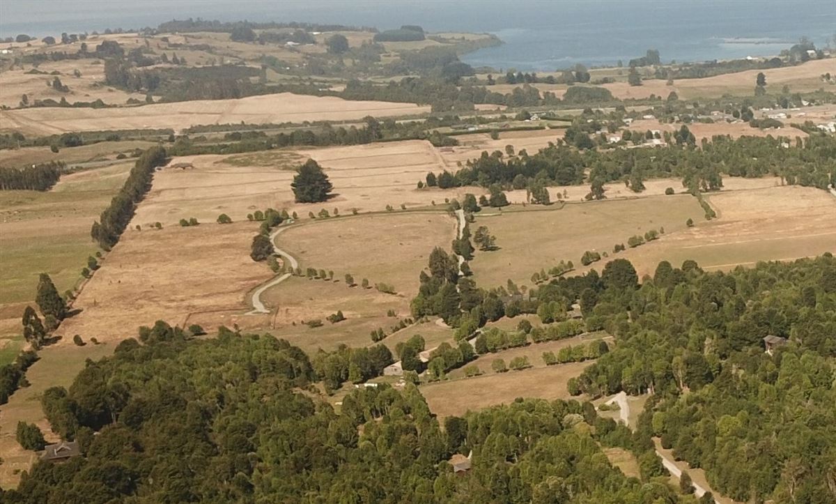 Venta Parcela Fresia - Los Lagos