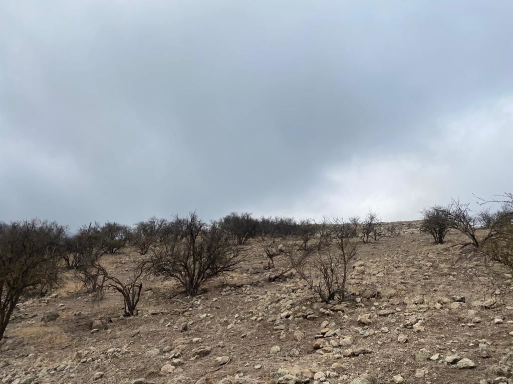 Venta Sitio Colina - Región Metropolitana