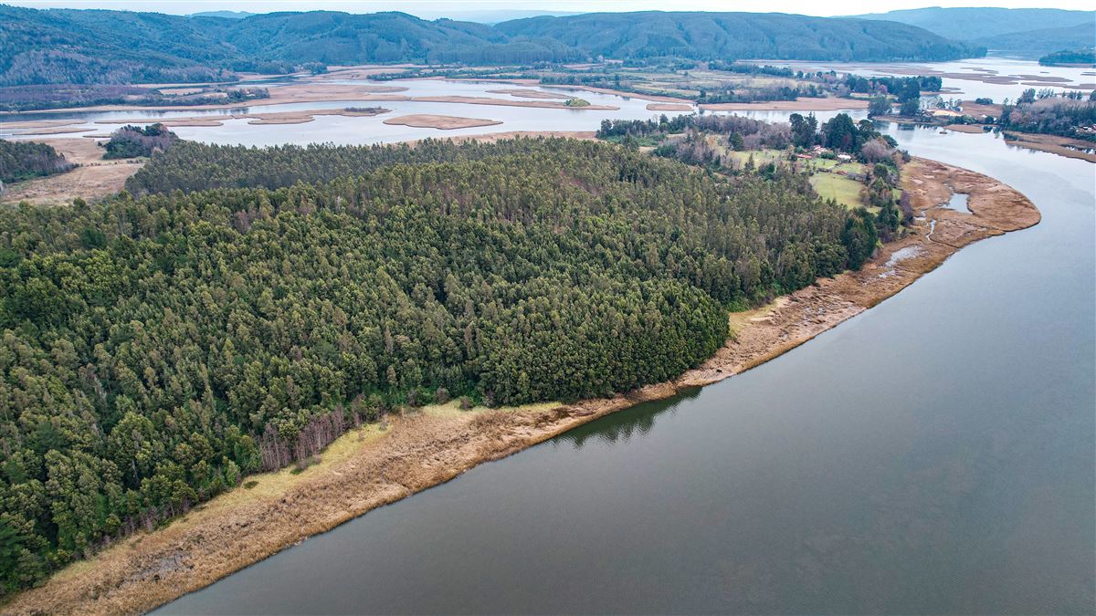 Venta Sitio Valdivia - Los Ríos
