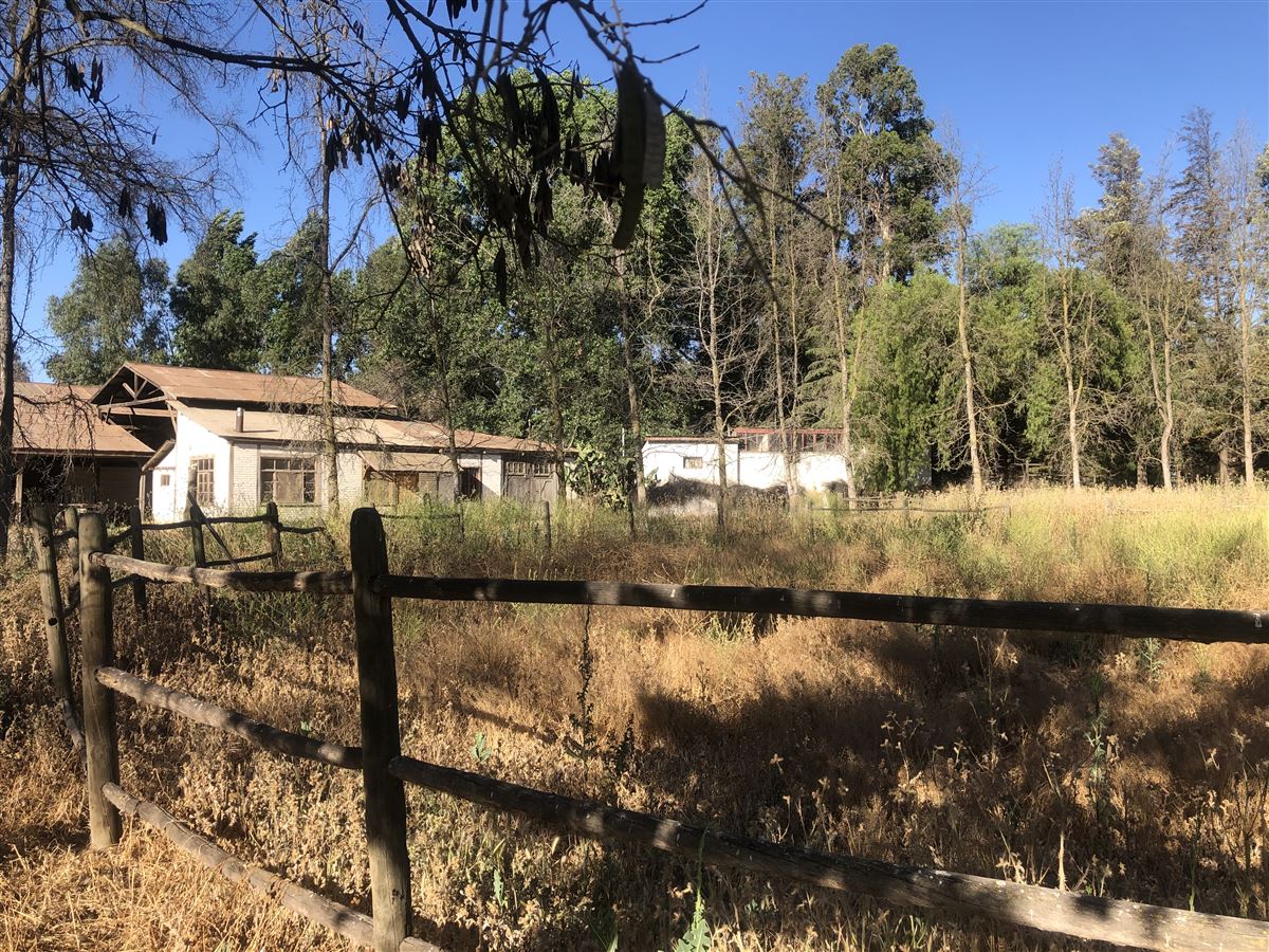 Venta Agrícola Calera de Tango - Región Metropolitana