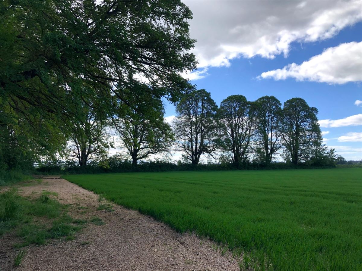 Venta Sitio Vilcún - La Araucanía