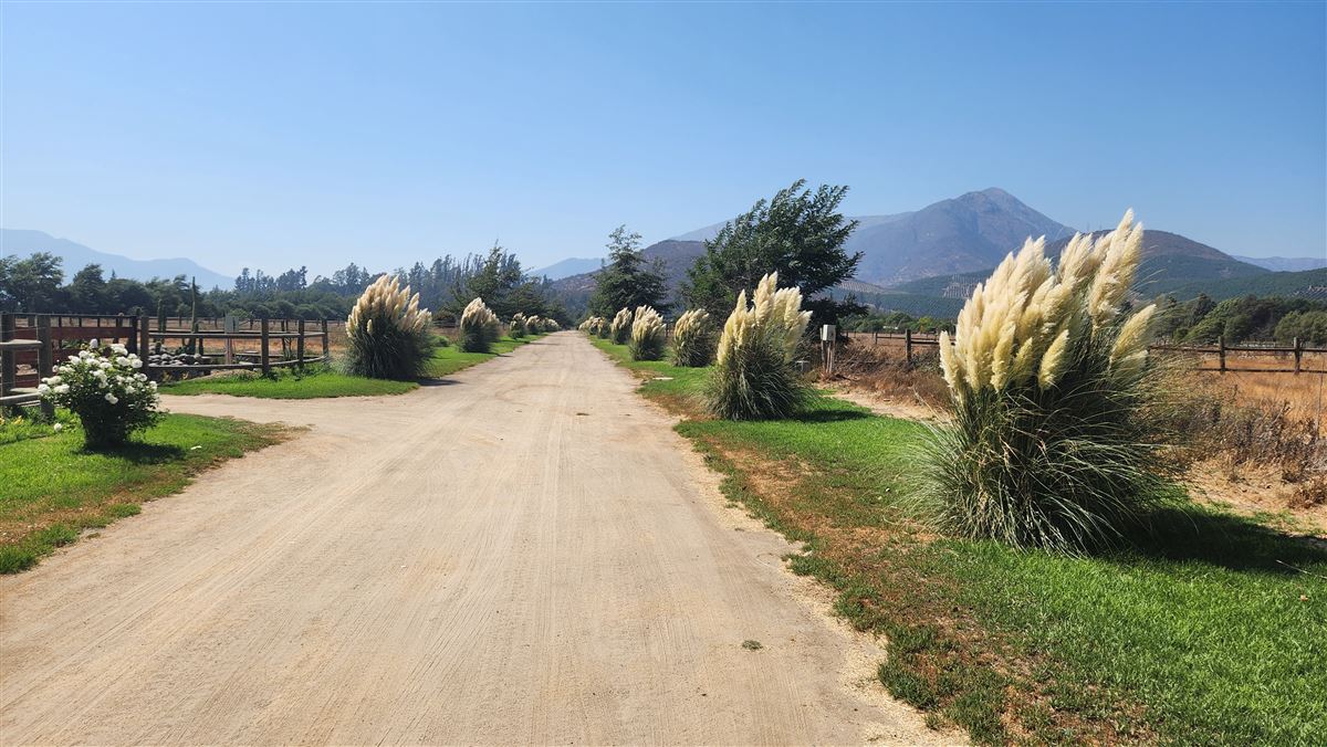 Venta Agrícola Hijuelas - Valparaíso