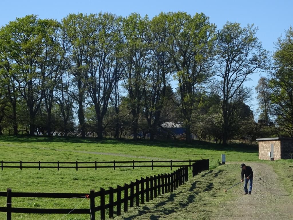 Venta Sitio Frutillar - Los Lagos