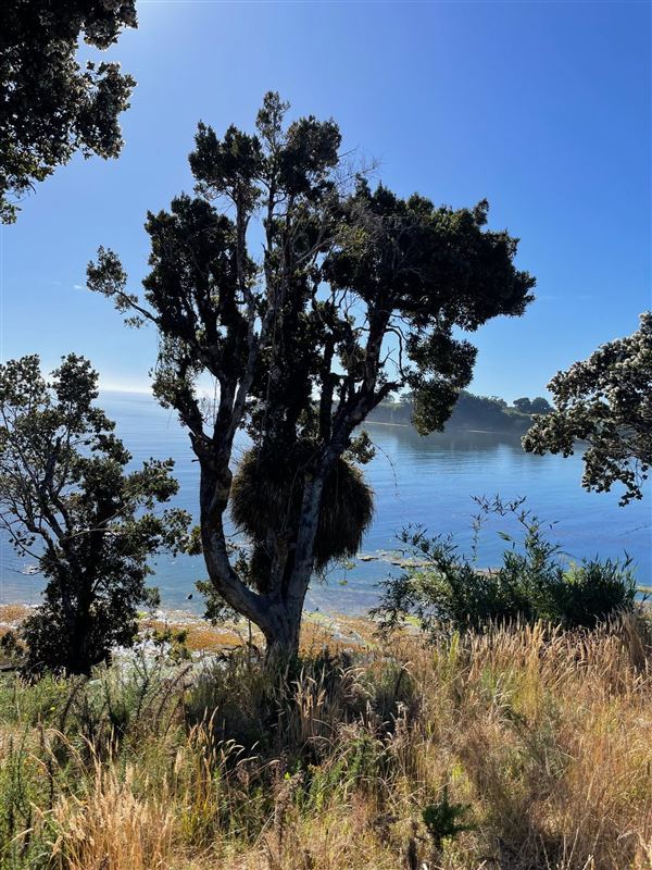 Venta Sitio Ancud - Los Lagos