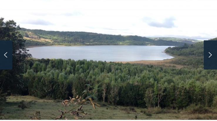 Venta Sitio Queilén - Los Lagos