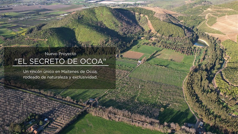 Venta Agrícola Hijuelas - Valparaíso