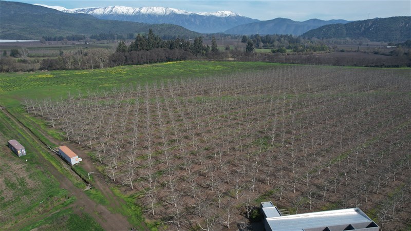 Venta Agrícola Paine - Región Metropolitana