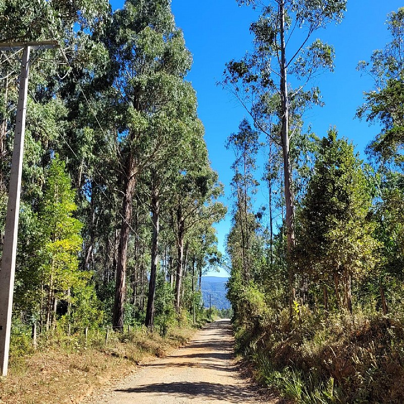 Venta Parcela Valdivia - Los Ríos